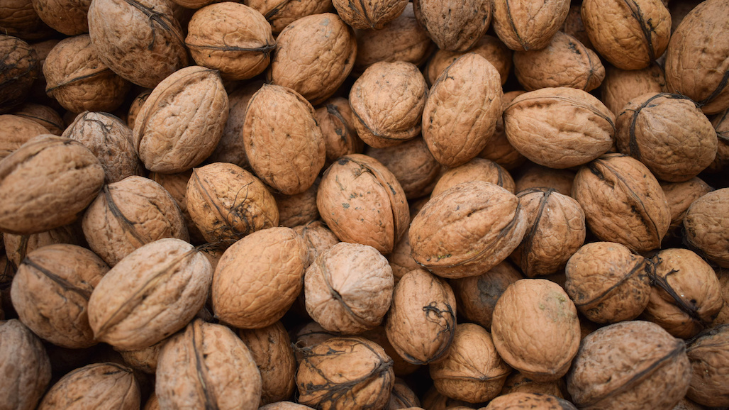 Walnut Prices What Growers Can Expect in the Near Future California