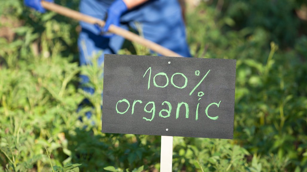 New Steps to Enhance Organic Markets and Support Producers California