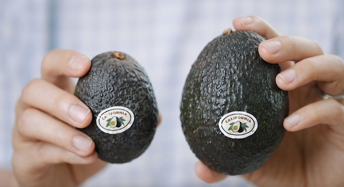 1 Small Hass Avocado Nutrition Besto Blog