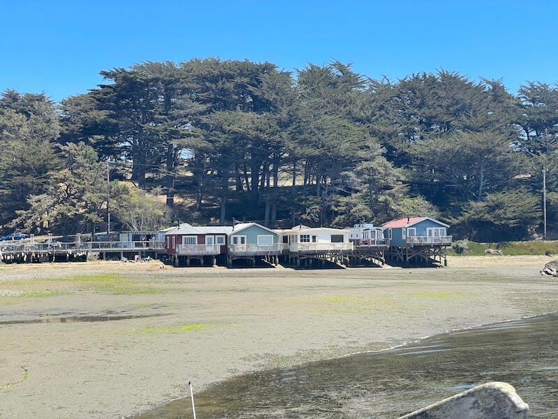 9 Cool Things to Do in Tomales Bay, California California Crossroads