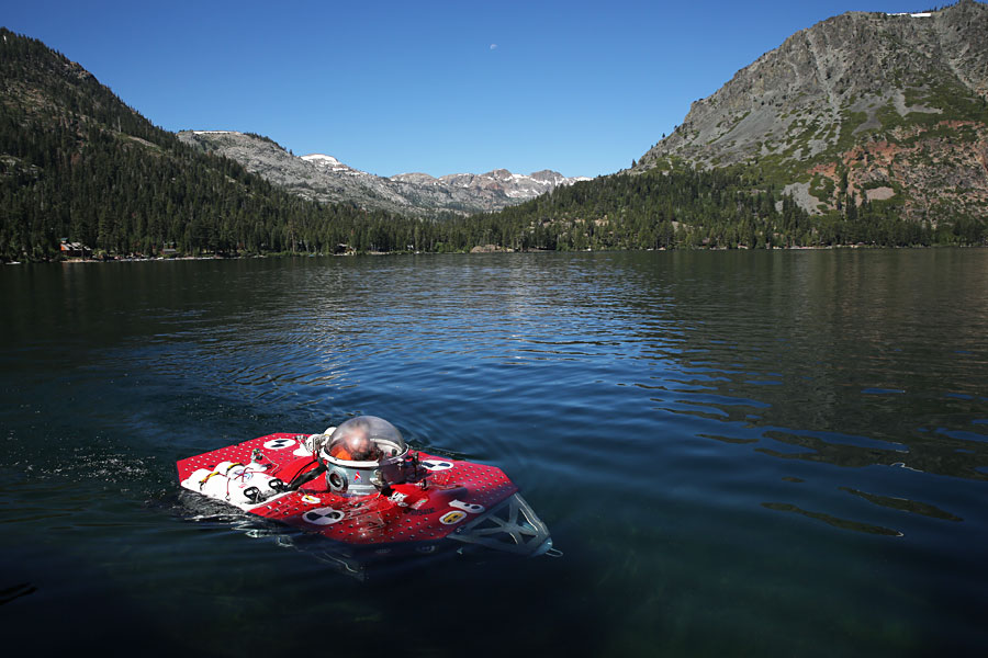 Solving A MileHigh Mystery Explorers Study Ancient Underwater Forest
