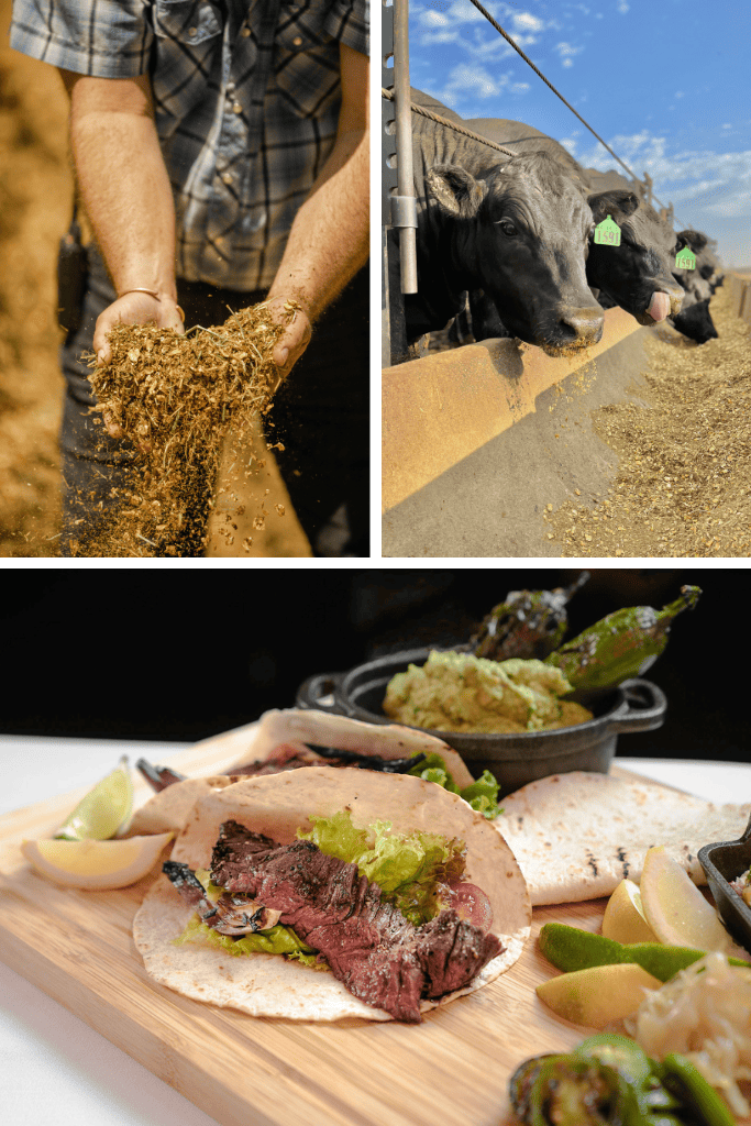 Savoring the Legacy The Juicy History of Harris Ranch Beef