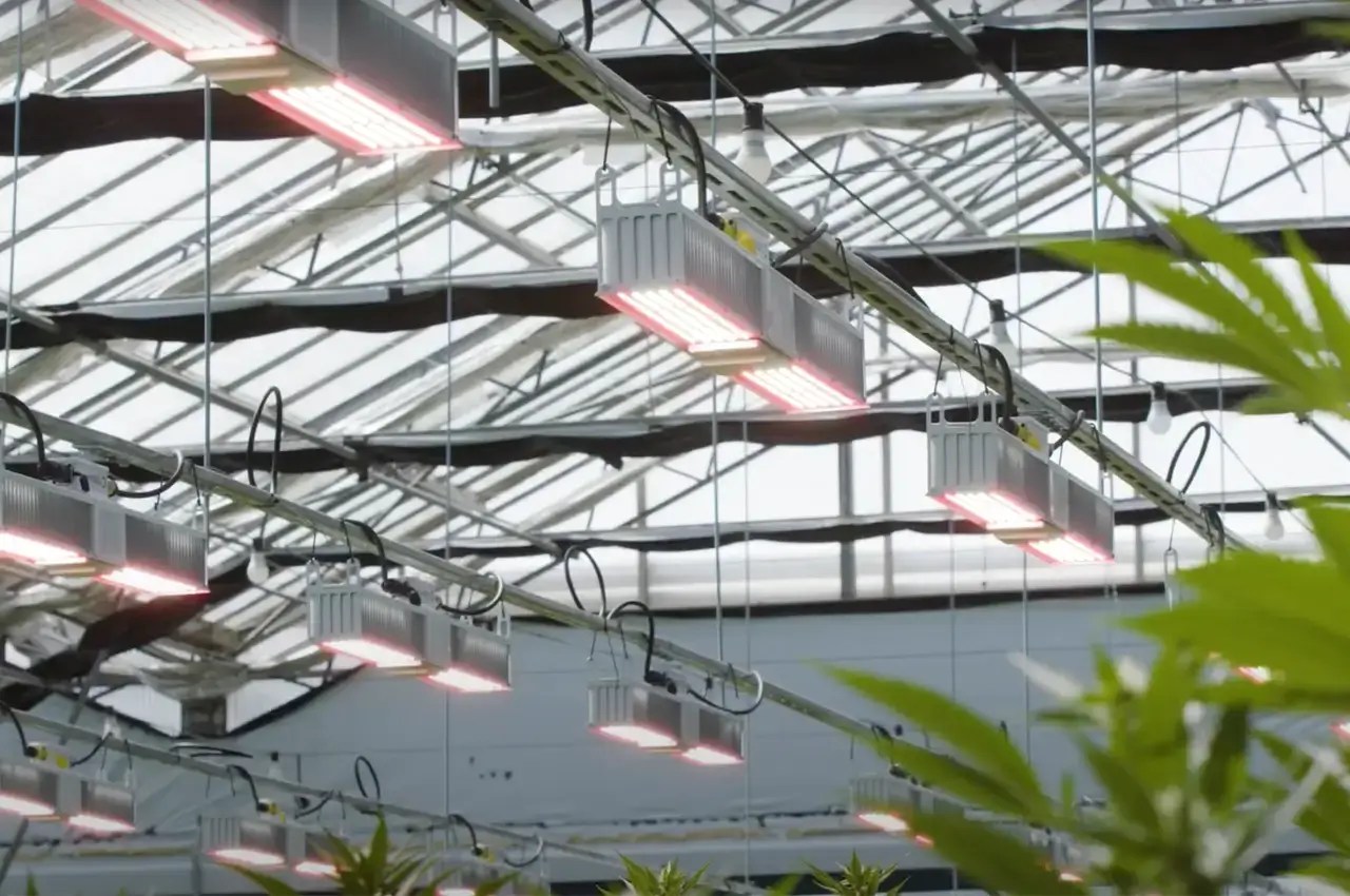 Why LED GrowLights Fail and How to Prevent It