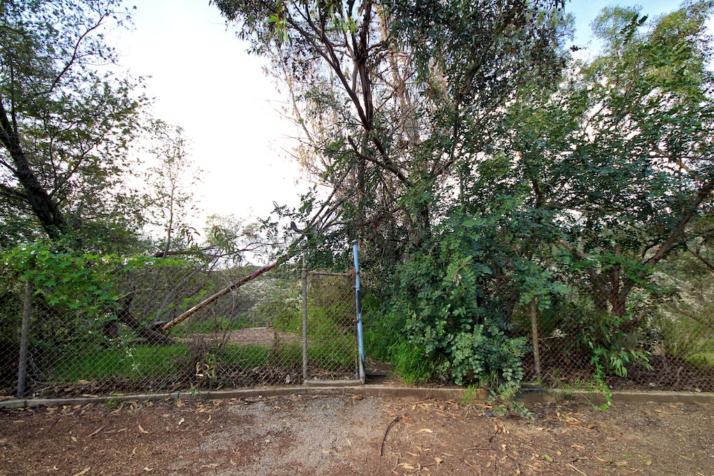 Murphy's Ranch Abandoned Nazi Camp in Santa Monica California