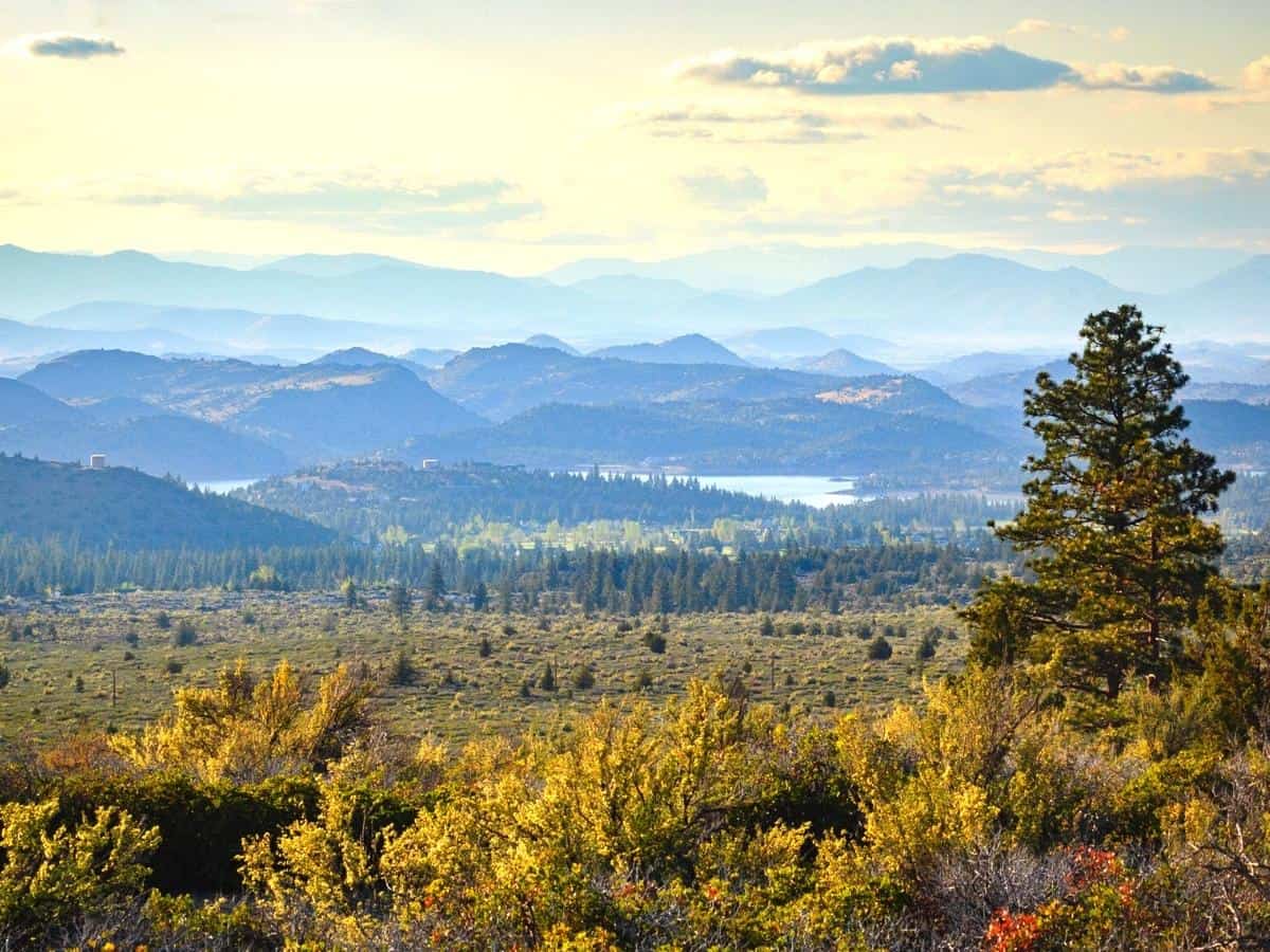 Tehama County California 2024