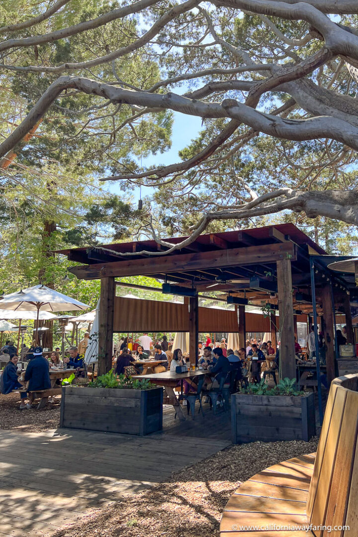 15 Day Trips from Palo Alto A Local's Guide to Where to Go