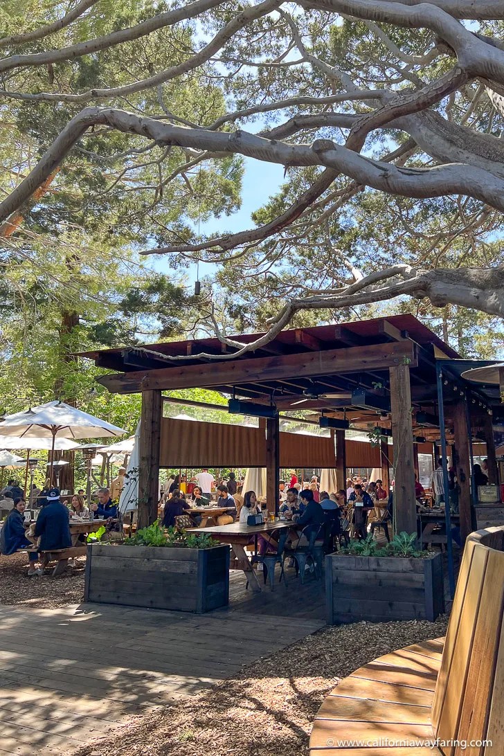 15 Day Trips from Palo Alto A Local's Guide to Where to Go