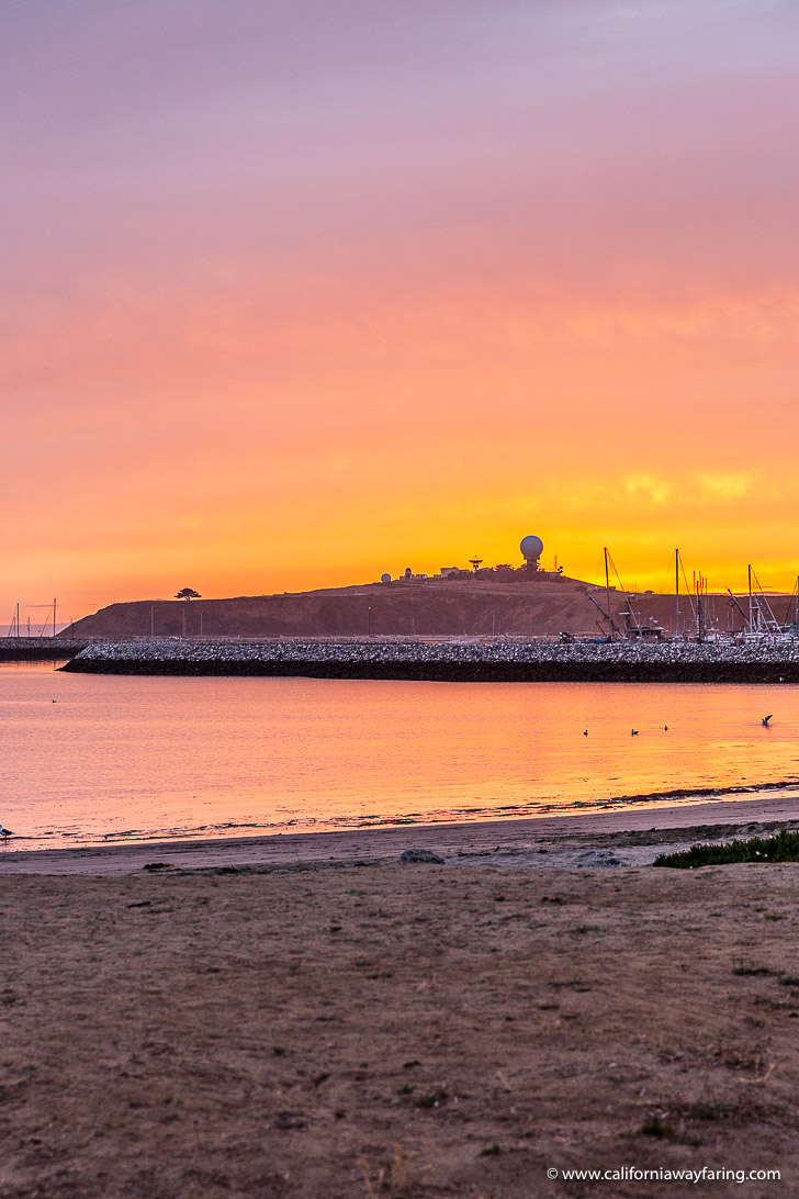 Half Moon Bay in Fall Visiting the Pumpkin Capital of the World