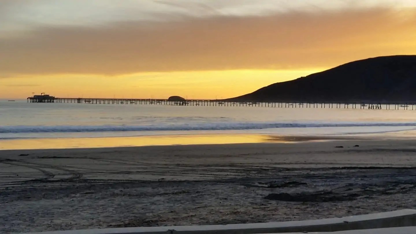 The Best Avila Beach Wineries To Visit (Just Updated)