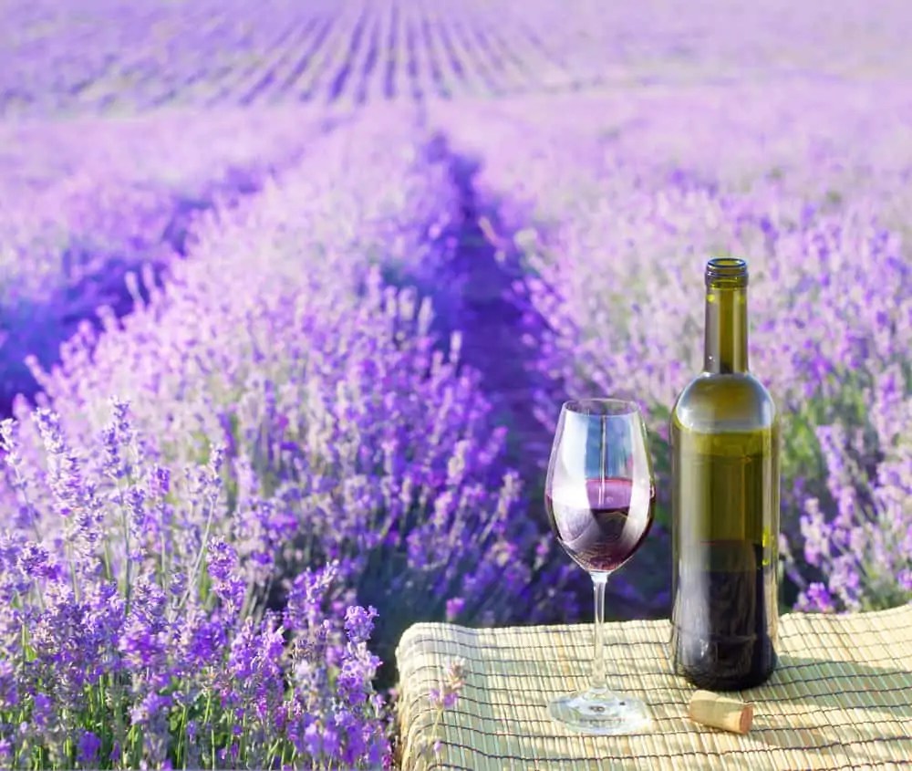 The 5 Best Places To Buy French Wine Online California Winery Advisor