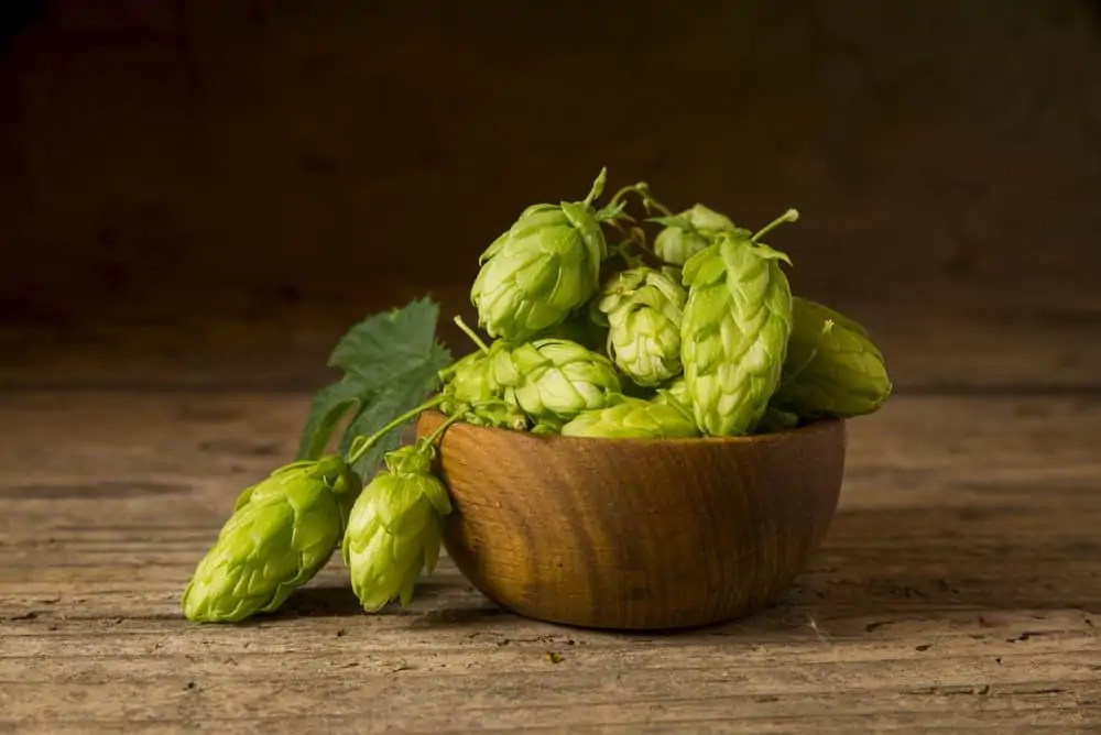 How Is The IBU Measured In Beer? California Winery Advisor