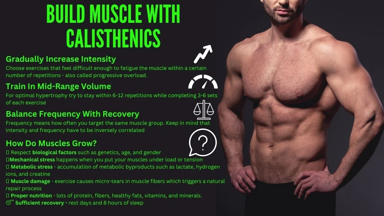 How To Build Muscle With Calisthenics CALISTHENICS Workouts & Equipment