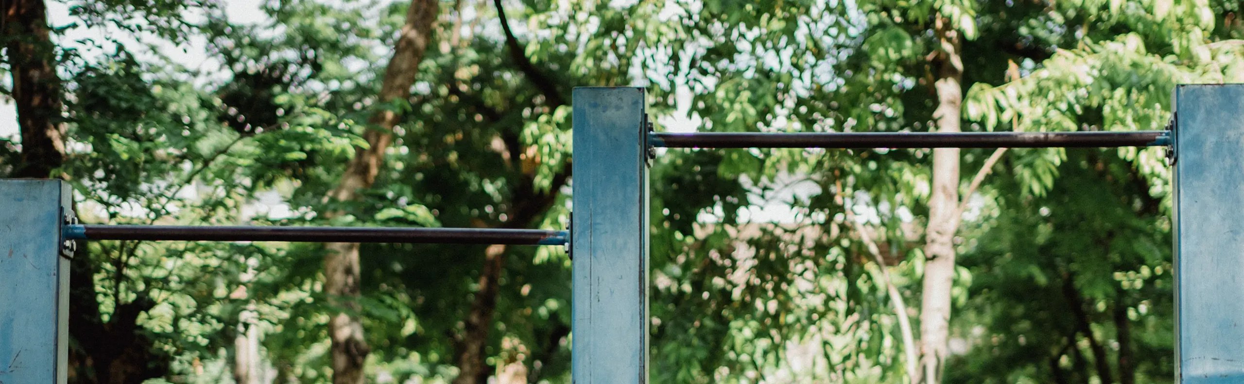 Iron Cross Progression Calisthentials