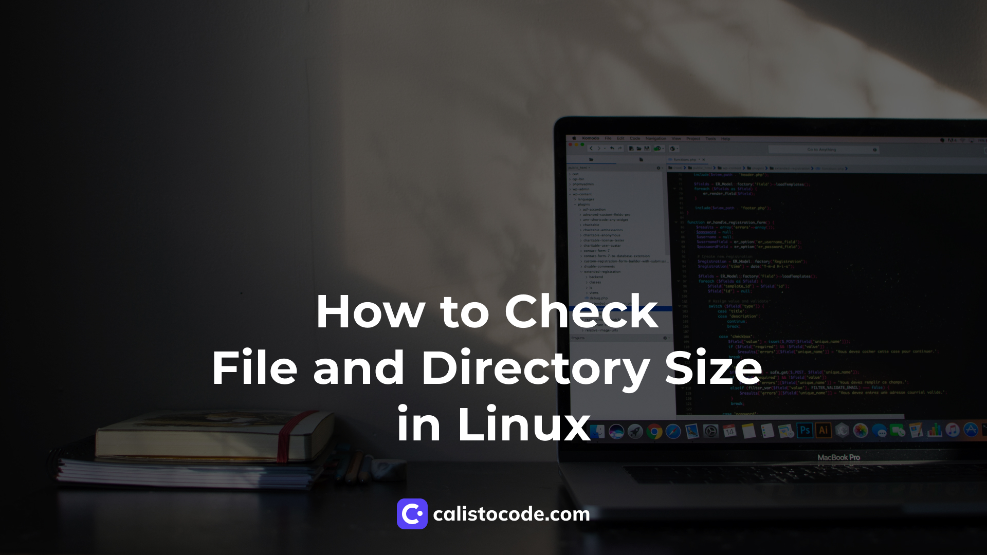 How to Check File and Directory Size in Linux Calisto Code