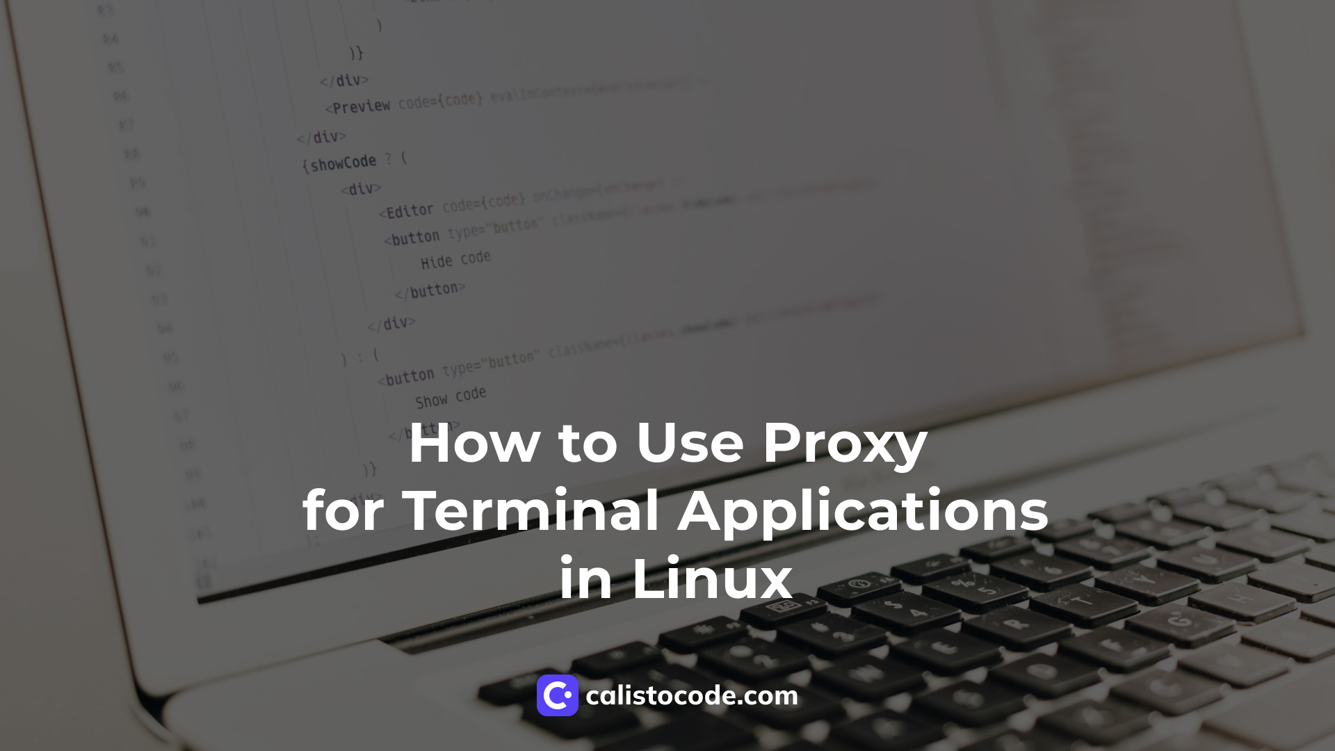 How to Use Proxy for Terminal Applications in Linux Calisto Code