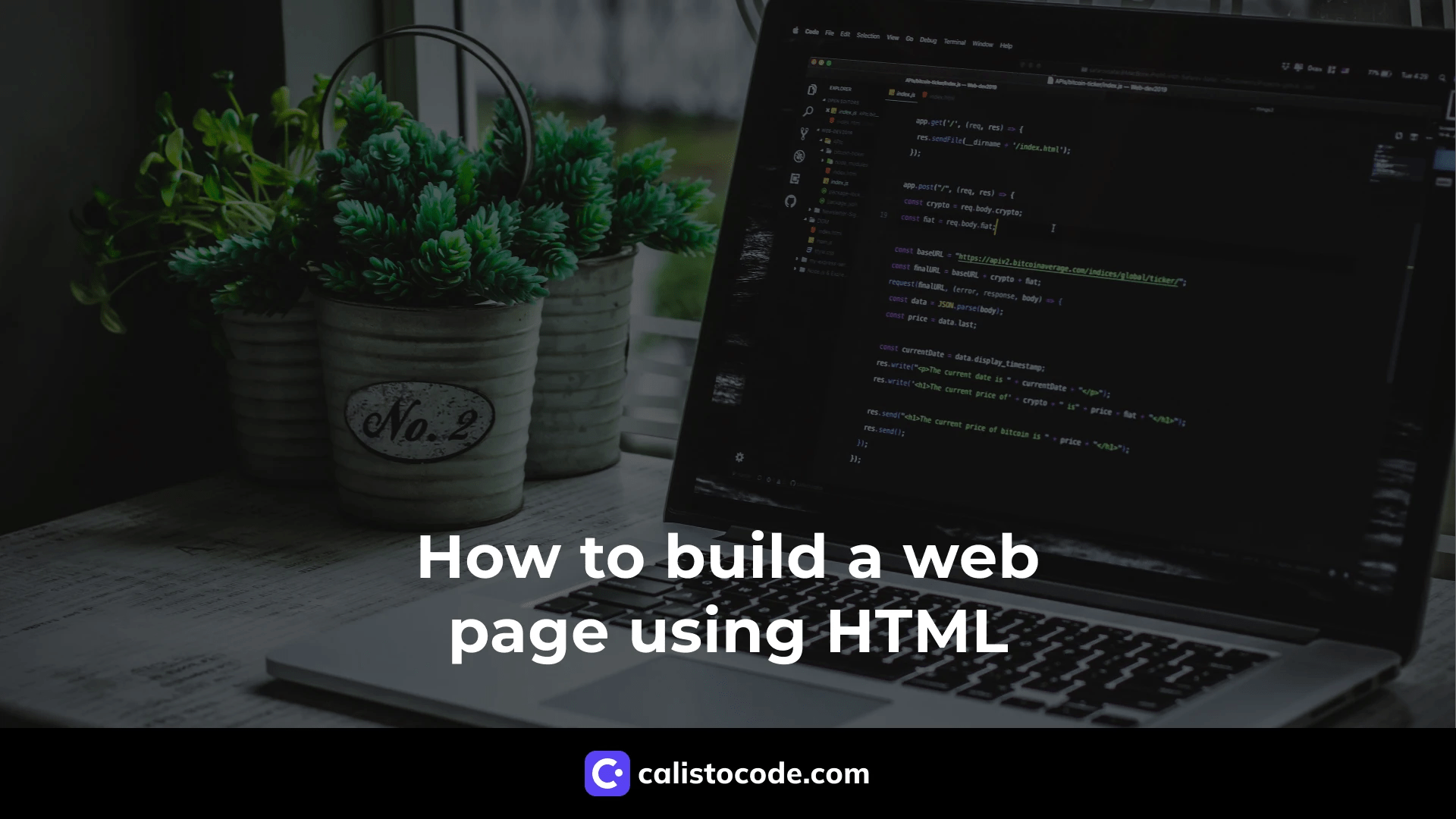 How to Build a  Page Using HTML Calisto Code