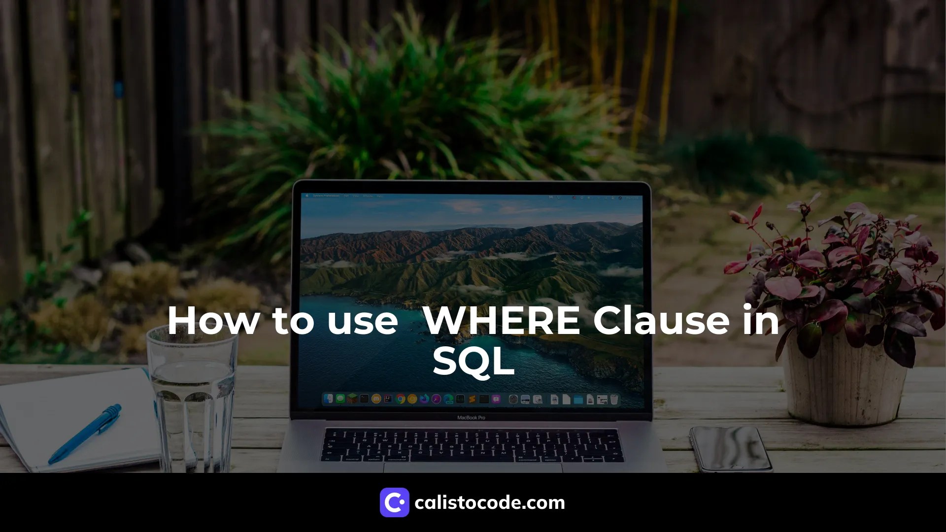 How to use WHERE Clause in SQL Calisto Code
