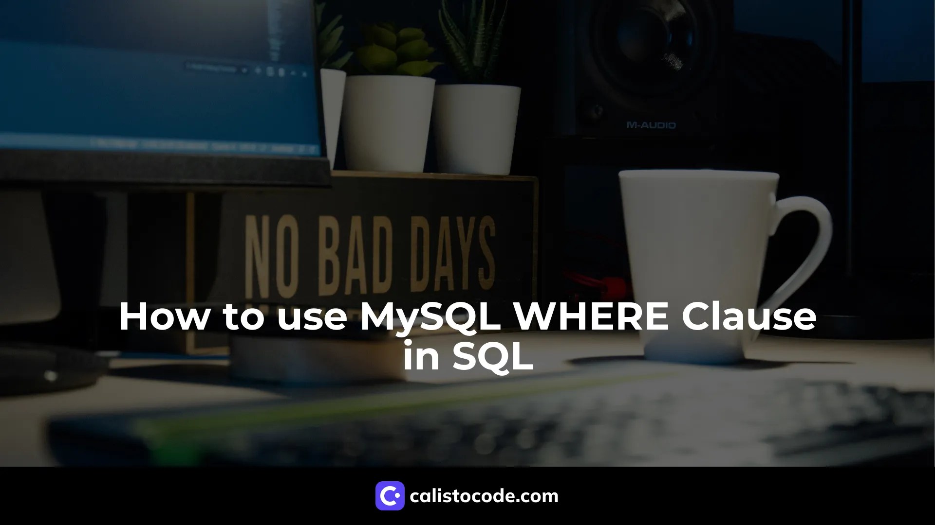 How to use MySQL WHERE Clause in SQL Calisto Code