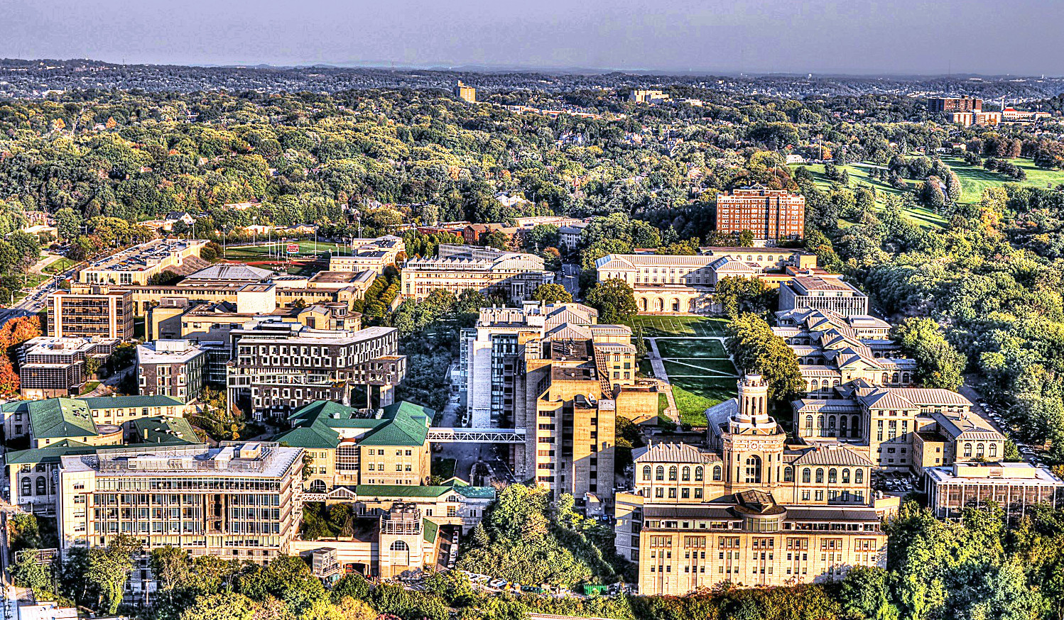 Universal All In 1 Template