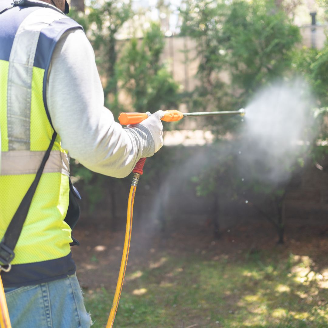 Understanding Quarterly Pest Control Cost A Comprehensive Guide with