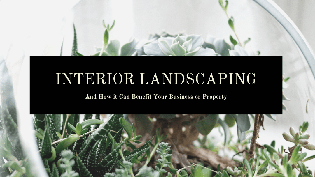 The Benefits of Interior Landscaping Call Dare