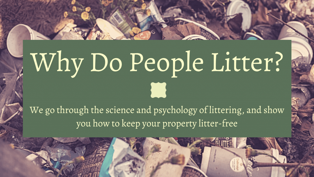 Littering Call Dare Why Do People Litter? Blog
