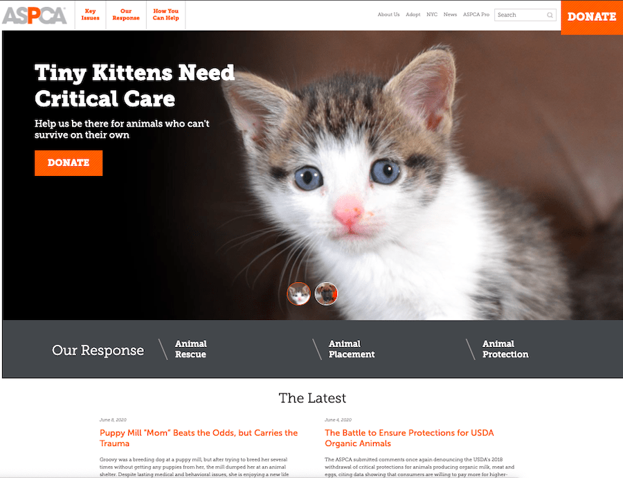 The step by step guide on building a great nonprofit website