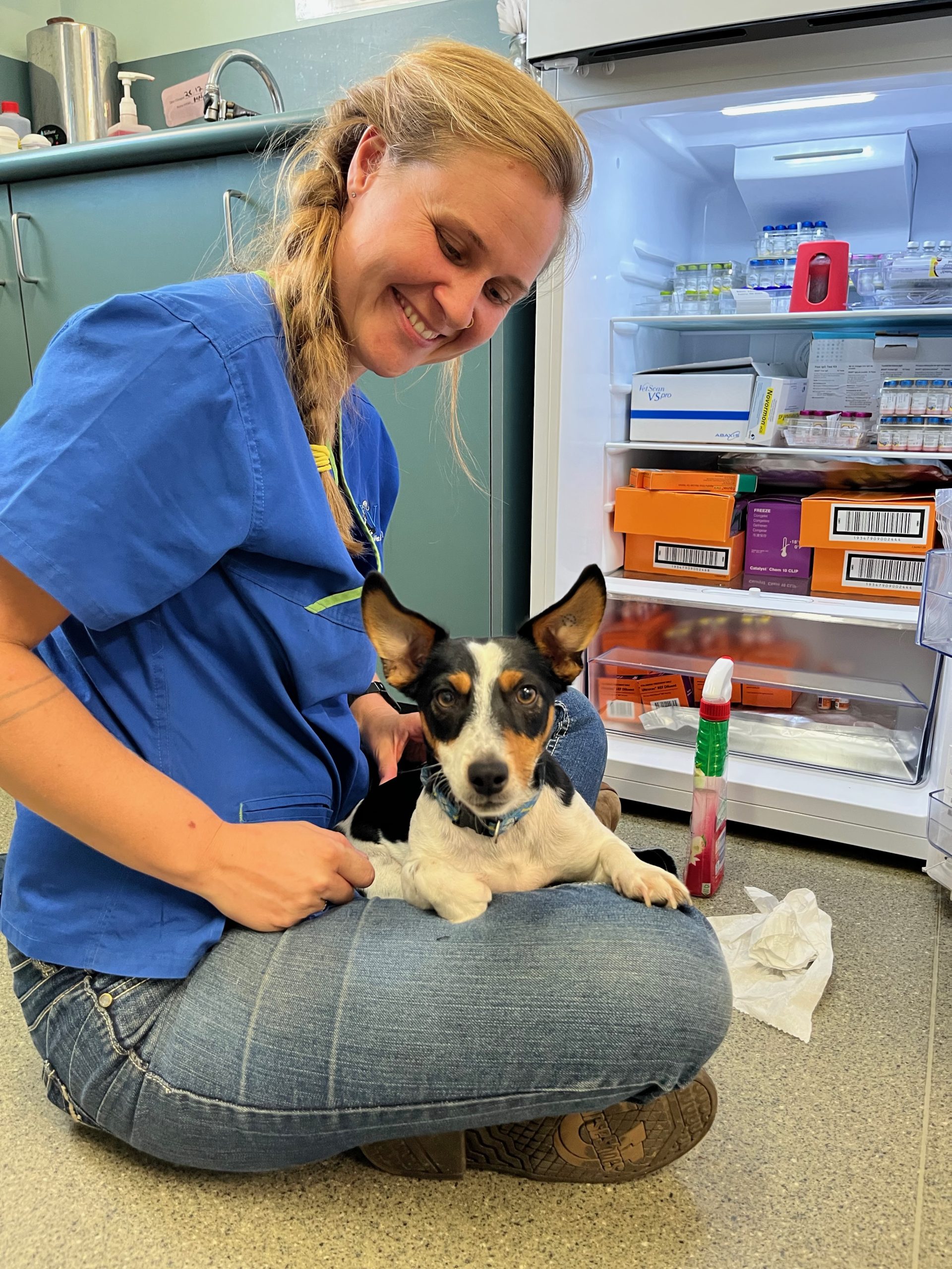 Can I get medication without a consult? Callide Valley Vet Clinic