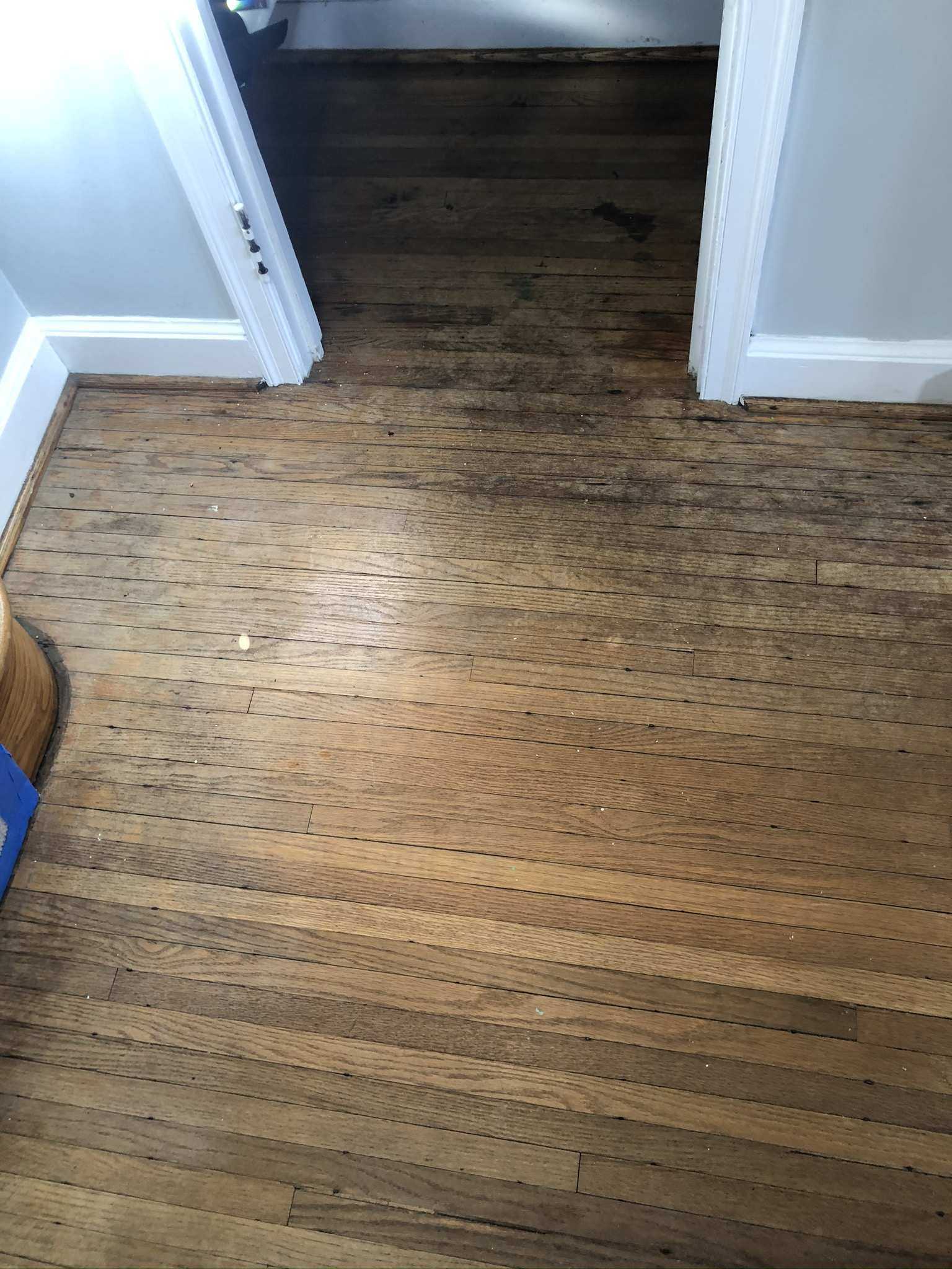 NRS Thin Chestnut March 2020 Mr. Sandman Wood Floor