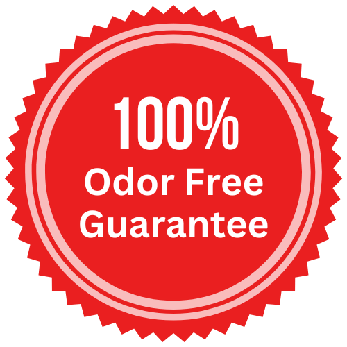 Carpet Cleaning Cape Coral FL Call My Carpet Cleaner