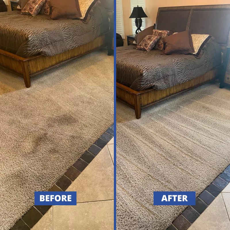 Carpet Cleaning Cape Coral FL Call My Carpet Cleaner
