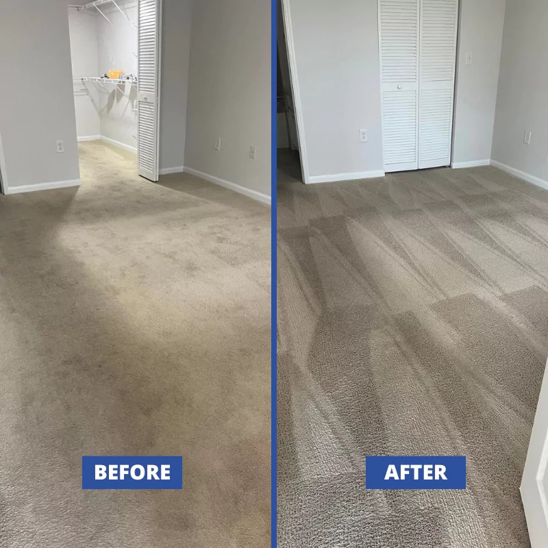 Carpet Cleaning Cape Coral FL Call My Carpet Cleaner