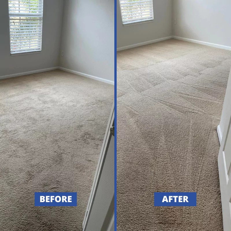Carpet Cleaning Cape Coral FL Call My Carpet Cleaner