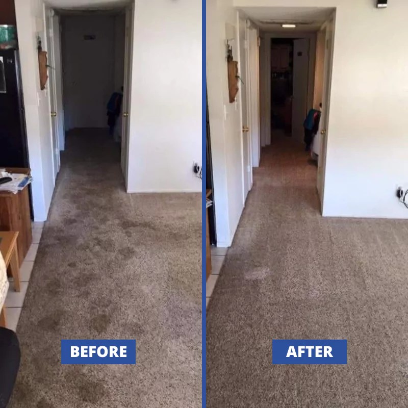 Carpet Cleaning Cape Coral FL Call My Carpet Cleaner