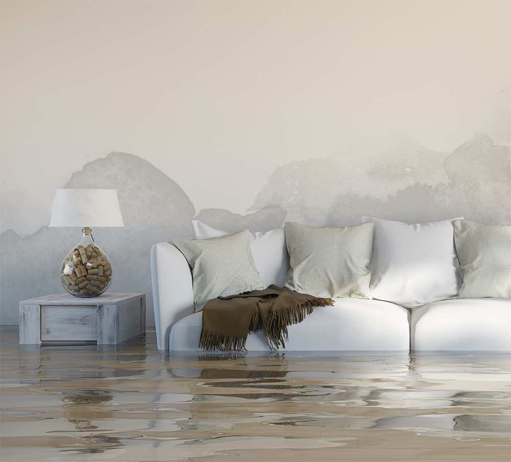 Does Your Homeowners Insurance Cover Water Damage? Service First