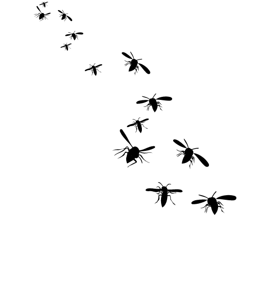 Wildlife Removal Huntsville AL Animal & Pest Control Wildlife