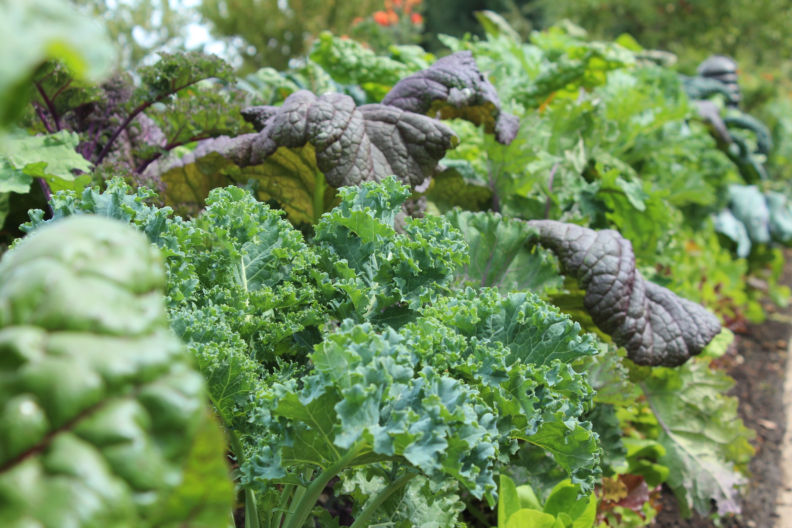 5 Strategies To Improve Insulin Resistance Cancer Prevention CALMERme