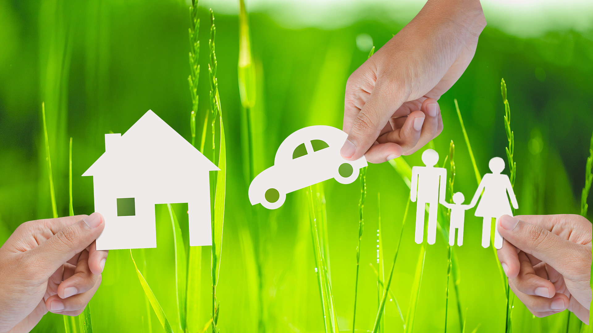 Personal Insurance Lines Auto and Home Owners Insurance