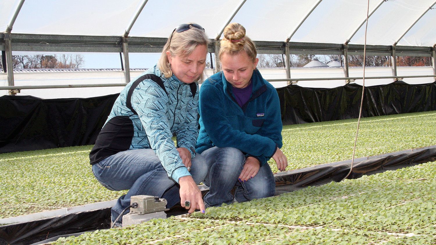 Lee County Extension's Women in Ag Sustaining the Family Farm