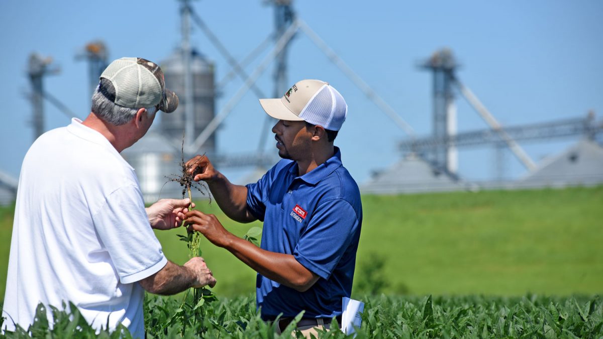 The State of North Carolina Agriculture College of Agriculture and