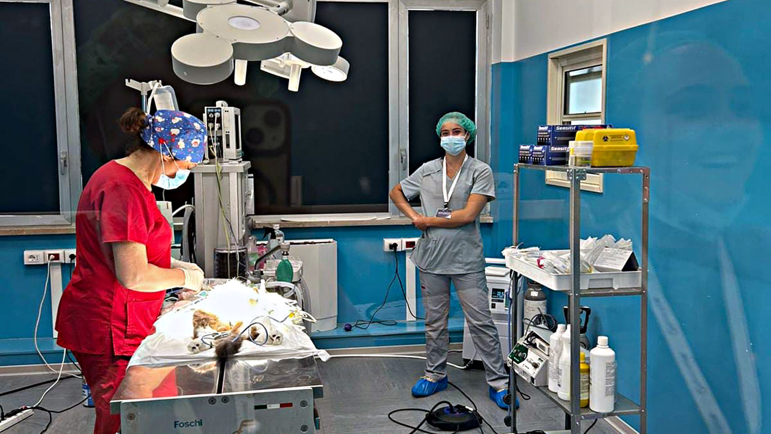 NC State Veterinary Students Gain Hands-On Experience in Italy Through Doctors in Italy Fellowship Program