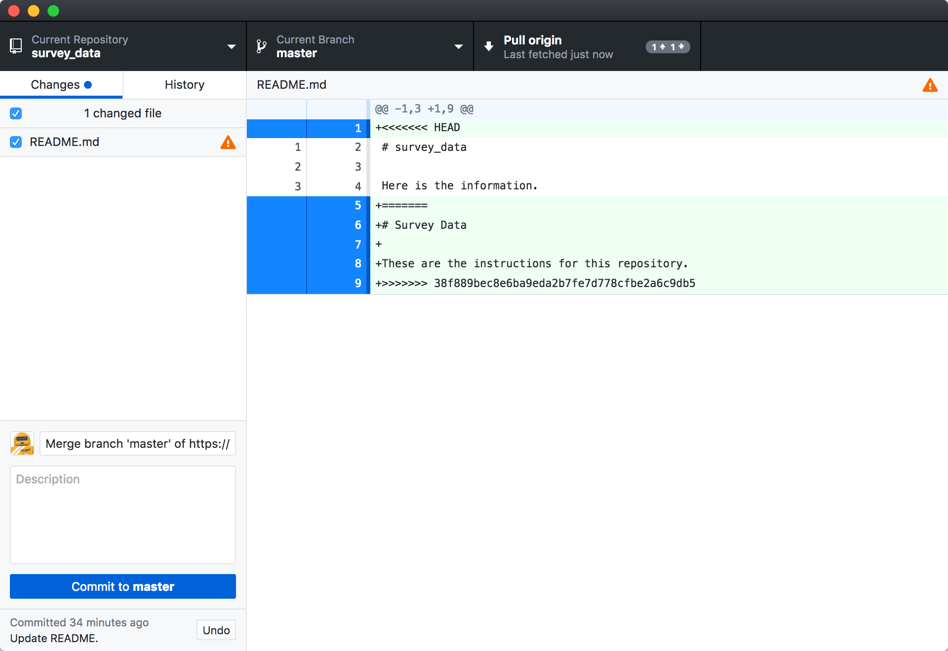 Version Control with Git Conflicts