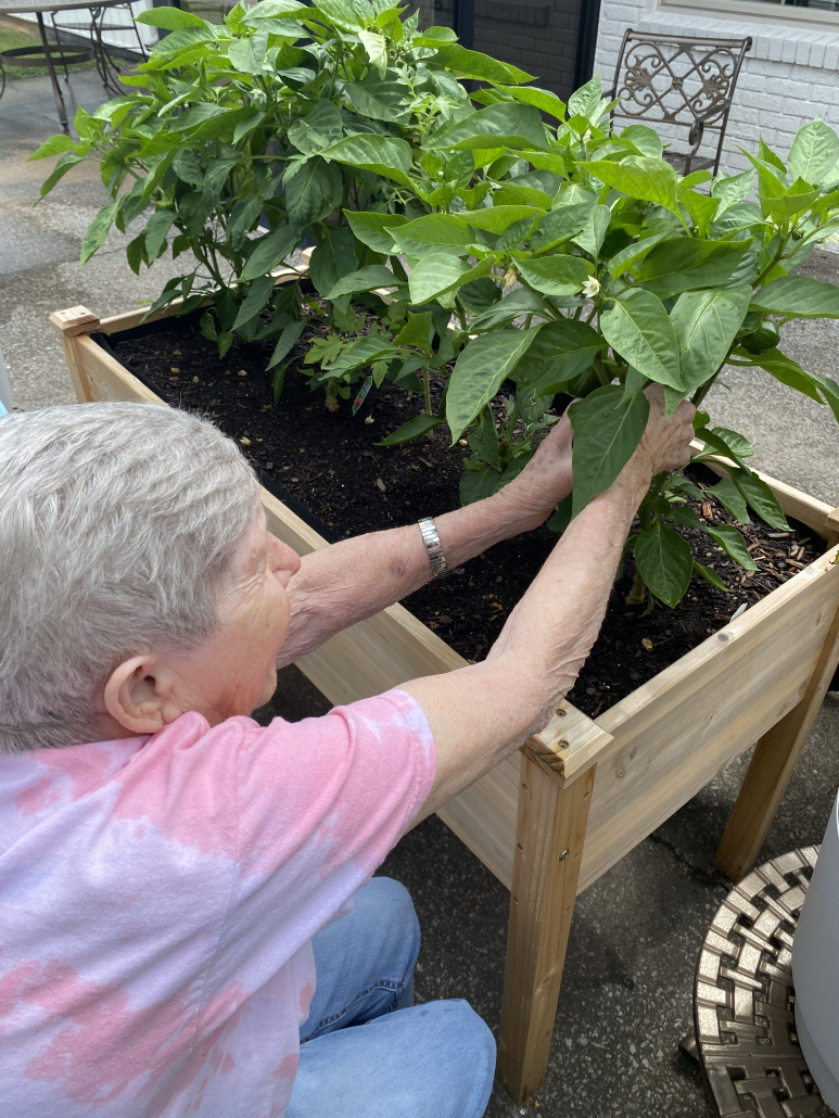 Our Facility Calvert City Nursing & Rehab