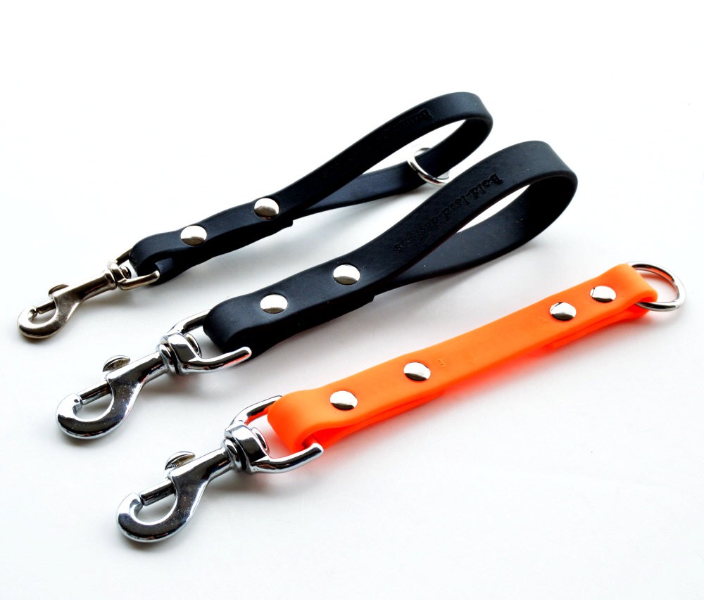 Dog Walking Equipment Calvert Dog Academy