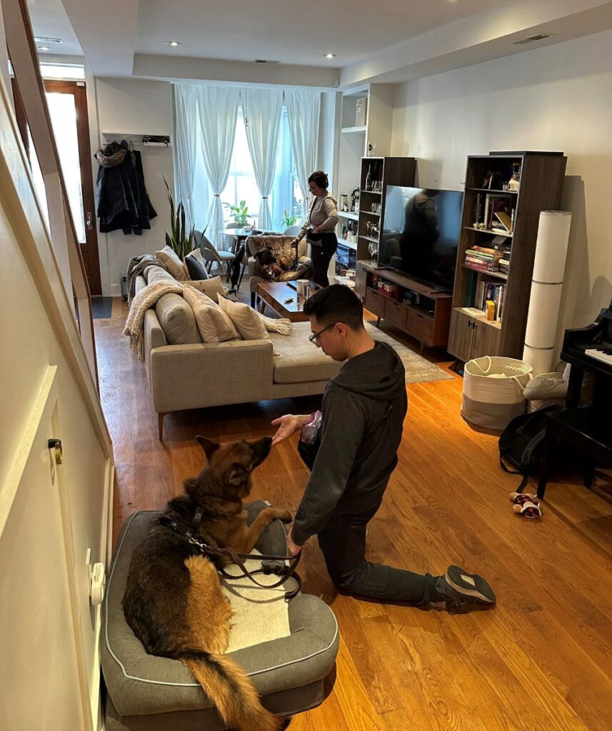 InHome Lessons Calvert Dog Training