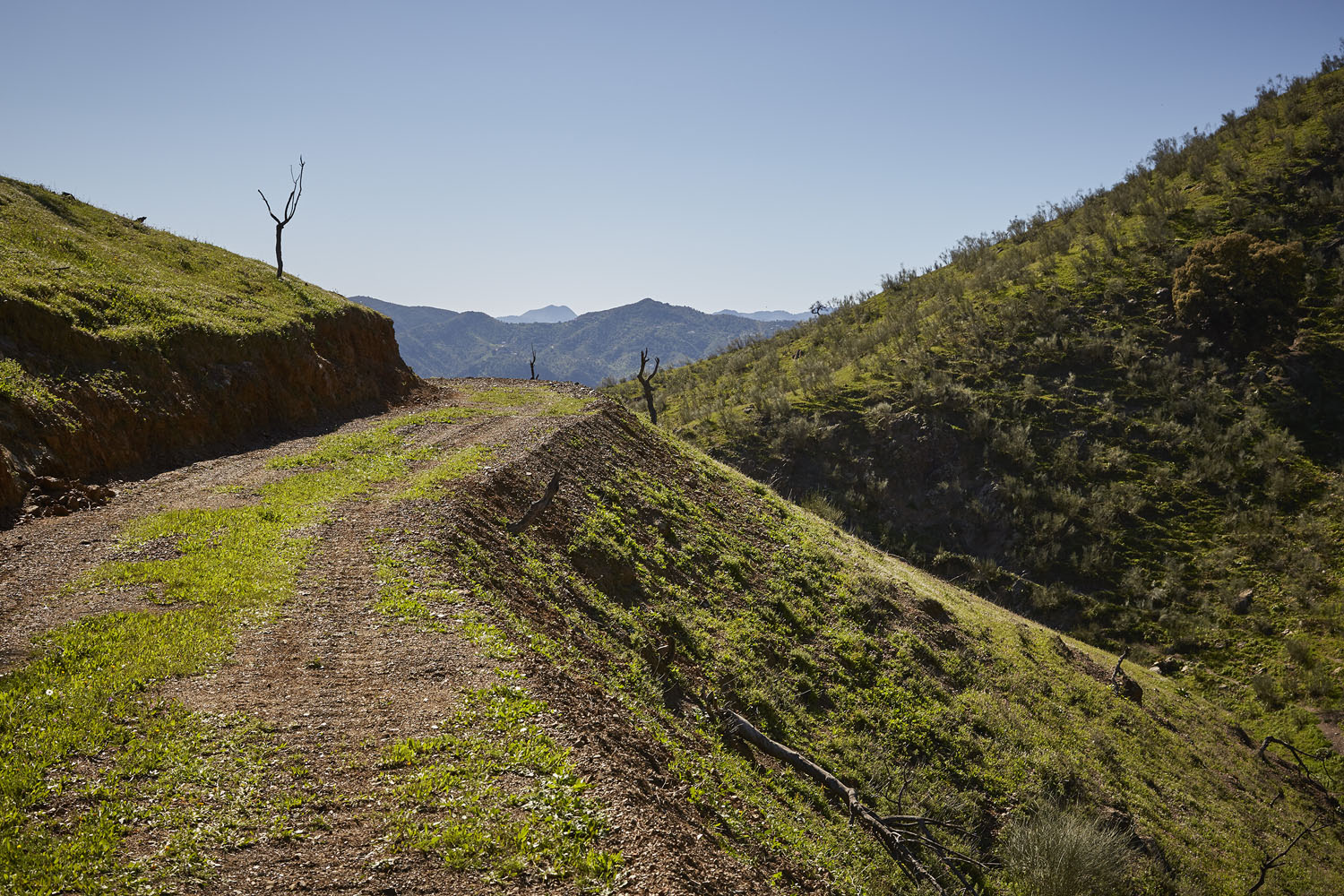 4 x 4 Tracks for Off Road Photography
