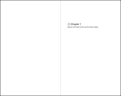 Chapter page