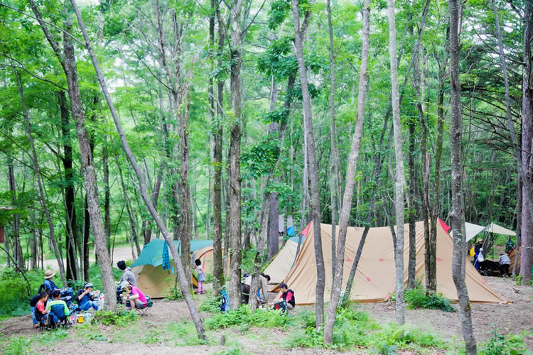 ライジングフィールド軽井沢【3つの魅力と注意すべき事柄】キャンプ場紹介 calymagazine