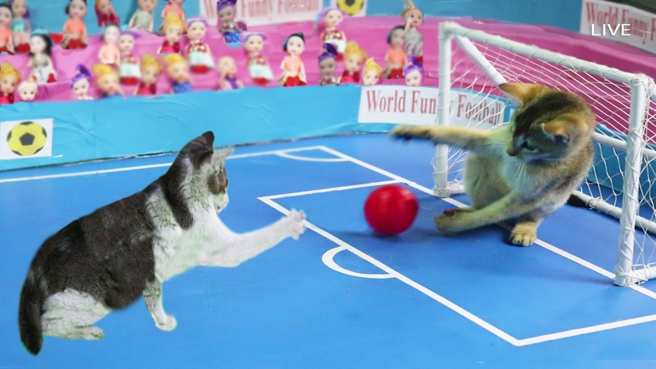 Funny Cat Playing Football jeu de chaton Camaraderie Limited