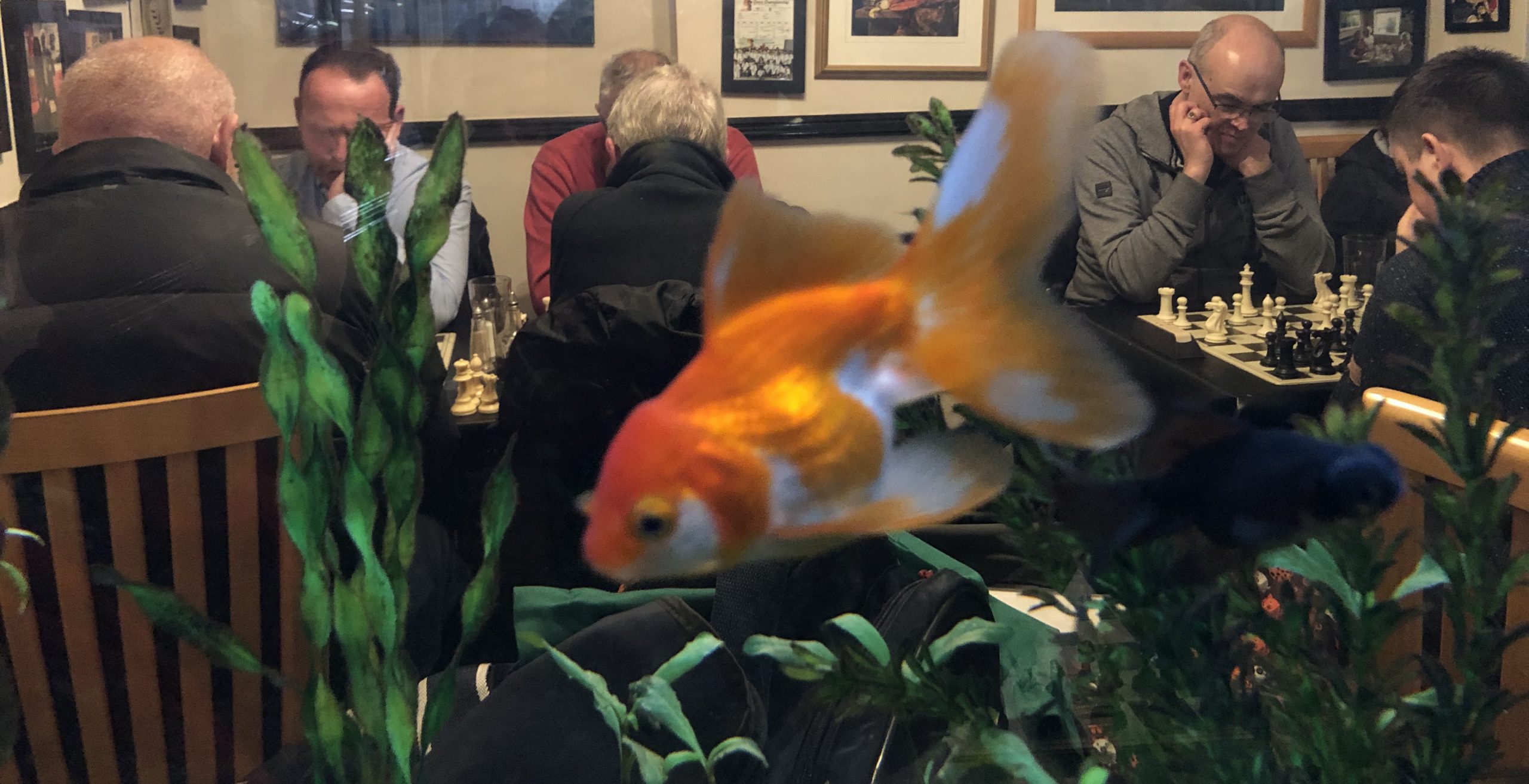 2022 Christmas Social Fish and Chess Camberley Chess Club